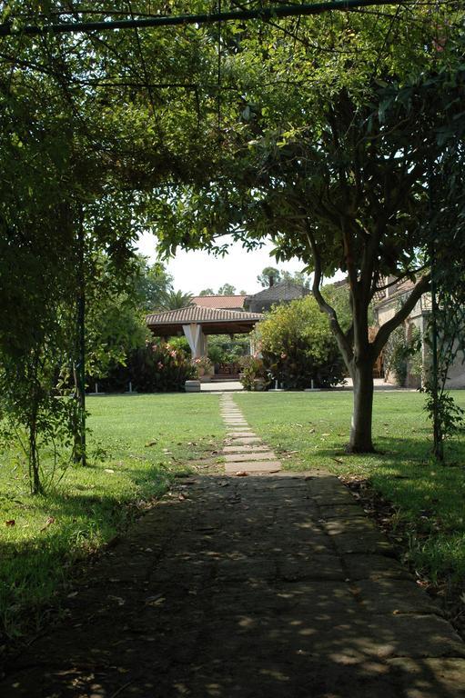 Azienda Agrituristica Seliano Paestum Bilik gambar