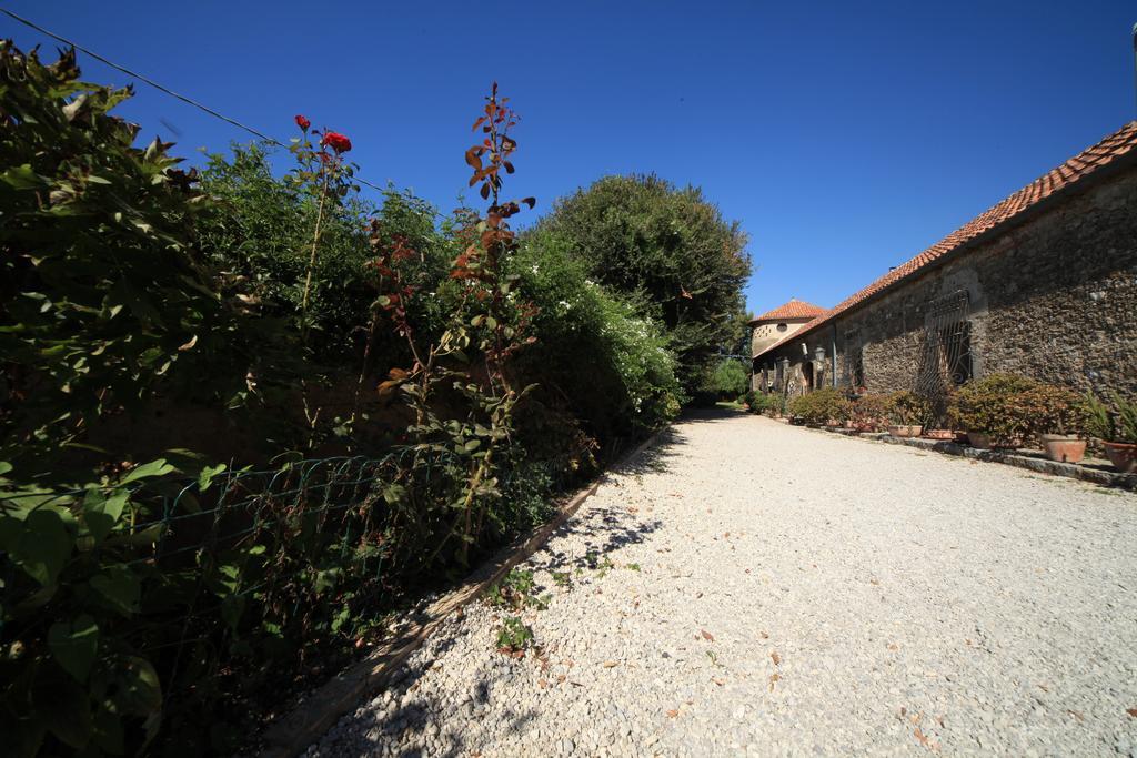 Azienda Agrituristica Seliano Paestum Luaran gambar